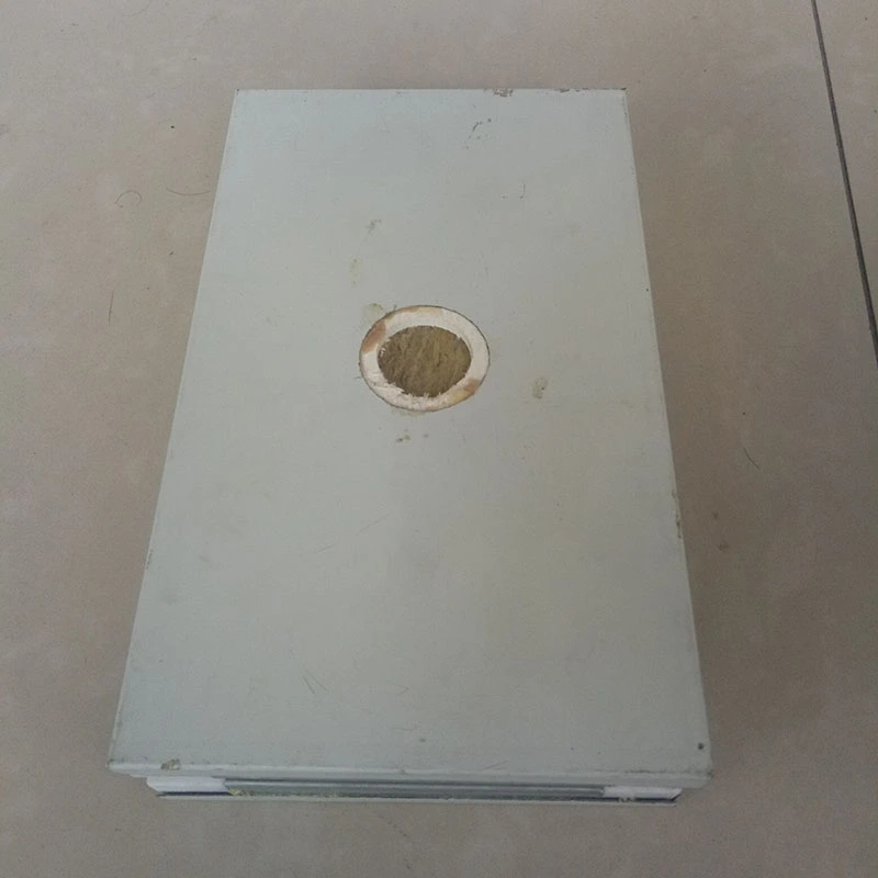 Tấm phòng sạch thủ công